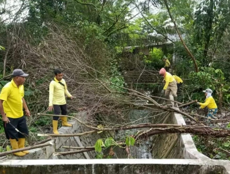 Tertumpuk Batang Pohon, PUPR Pekanbaru Bersihkan Drainase di Jalan Bakti