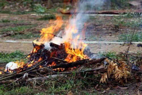 Berpotensi Picu Kebakaran Lahan, Pemko Pekanbaru Himbau Warga tak Bakar Sampah