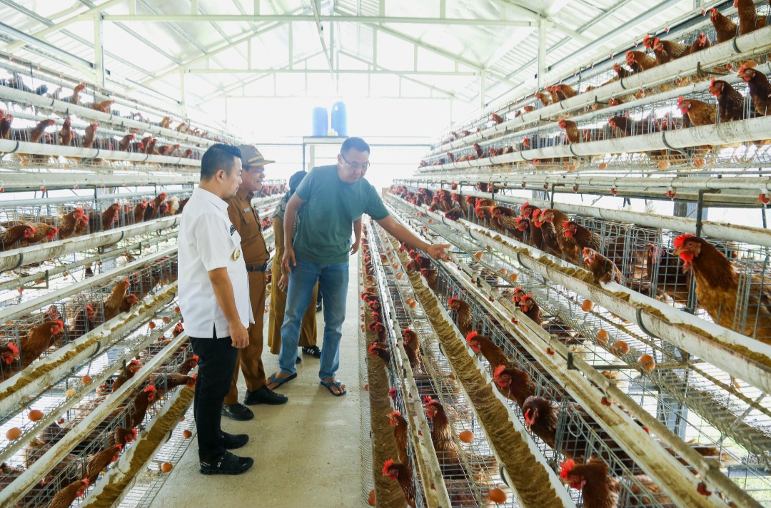 Pj Wali Kota Cek Budi Daya Telur, Ikan, dan Sayur di Sejumlah Tempat di Pekanbaru